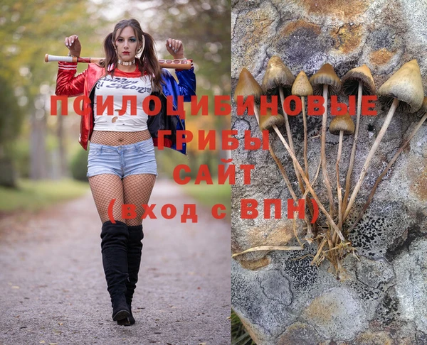 СК Гусев
