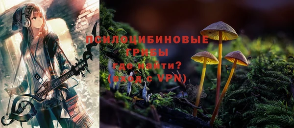 СК Гусев