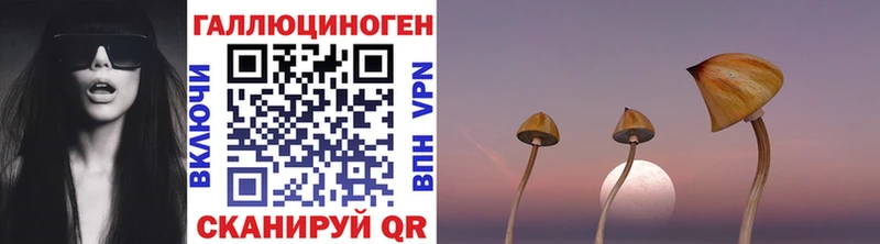 Галлюциногенные грибы прущие грибы  Купить закладки  Щёкино 